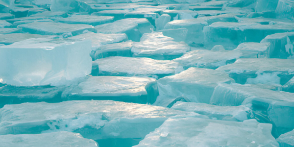 Arte e Ghiacciai: Un Filo di Sostenibilit per il Futuro